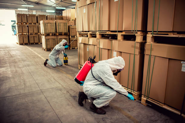 Best Cockroach Control Services  in Cienegas Terrace, TX