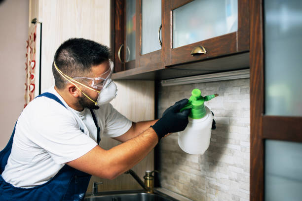 Best Residential Pest Control  in Cienegas Terrace, TX