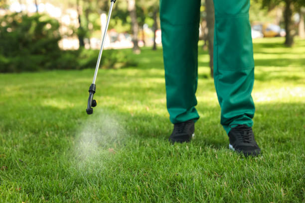 Best Bed Bug Extermination  in Cienegas Terrace, TX