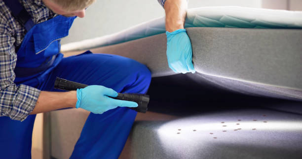 Best Pest Control Near Me  in Cienegas Terrace, TX