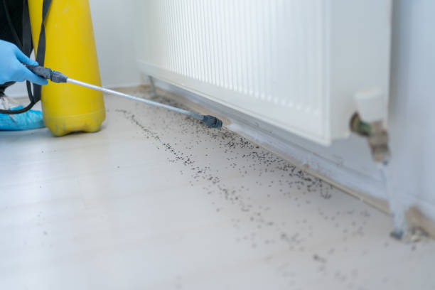 Best Pest Inspection Near Me  in Cienegas Terrace, TX