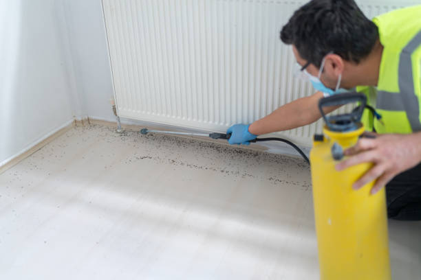 Best Mosquito Control Services  in Cienegas Terrace, TX
