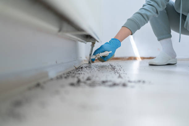 Best Bed Bug Extermination  in Cienegas Terrace, TX