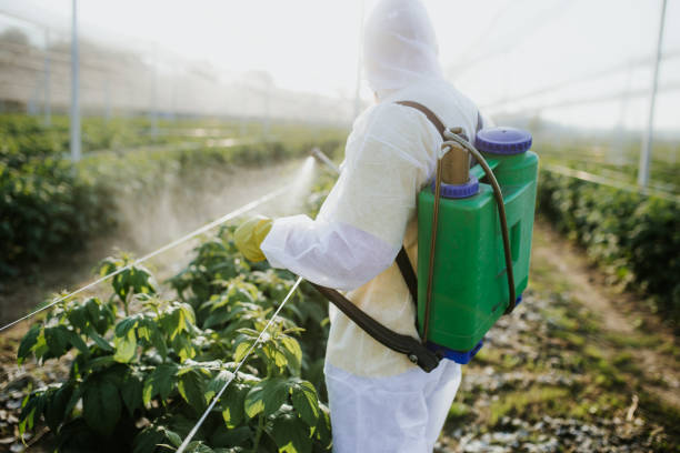 Best Exterminator Services  in Cienegas Terrace, TX